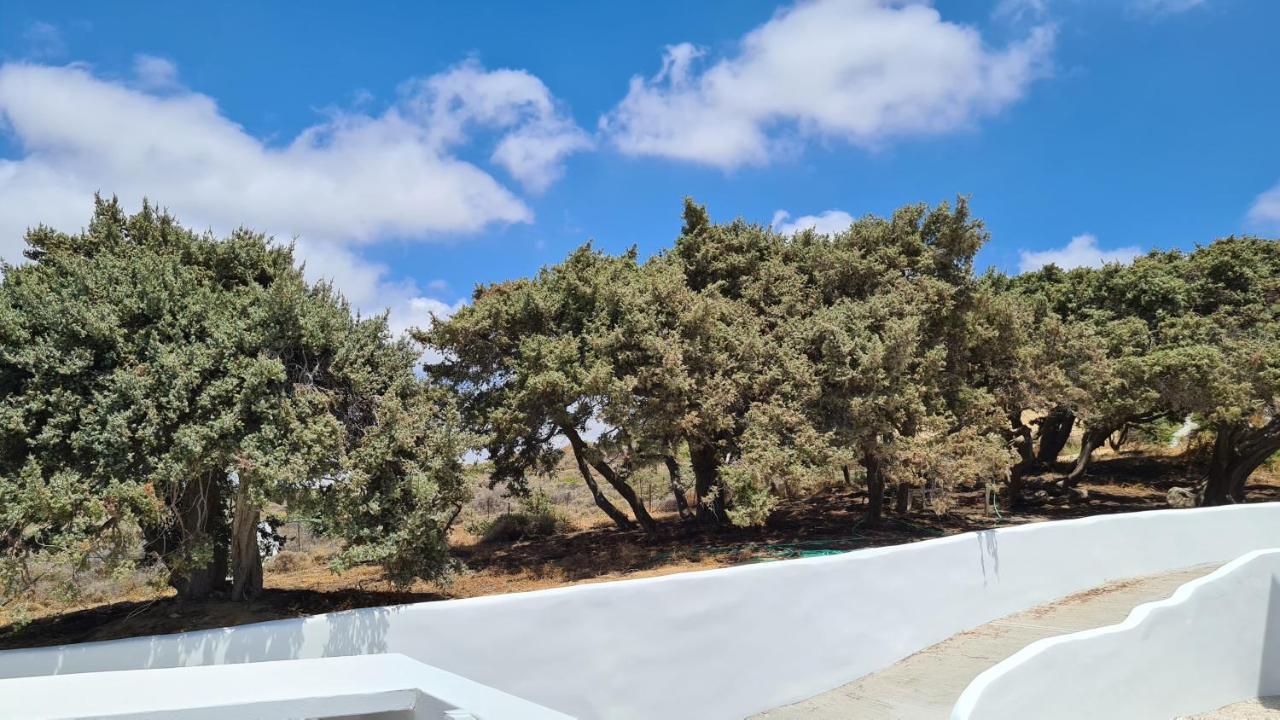 Seanfinity Beachfront Suites 米科利维亚 外观 照片